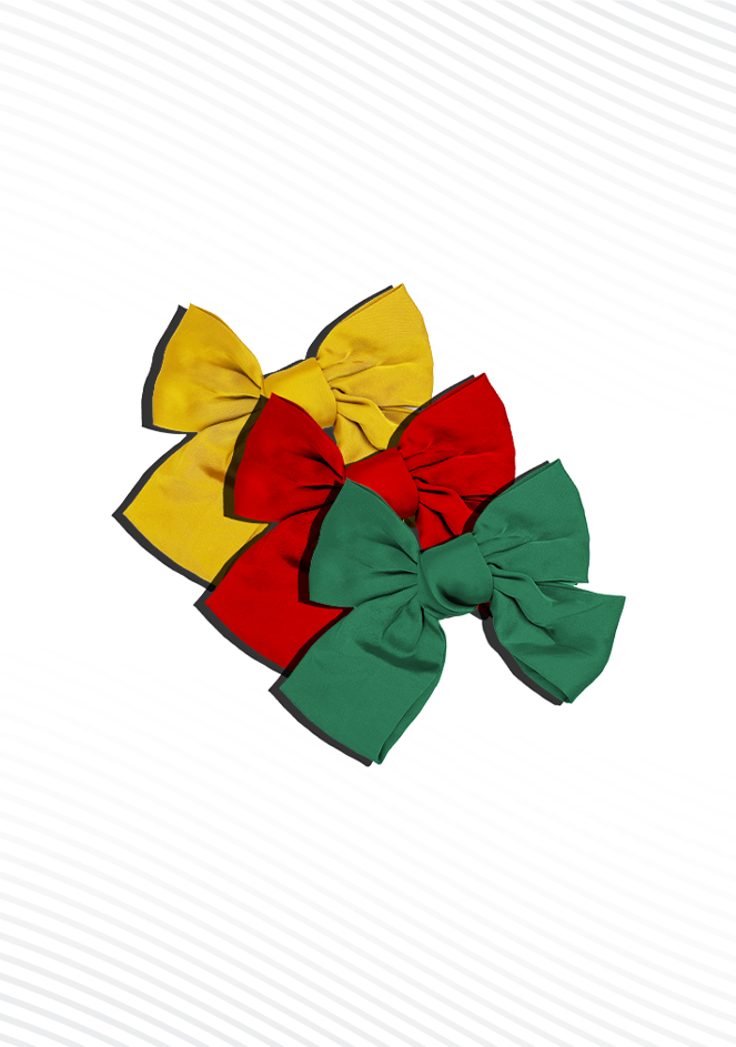 Hair Clips Bundle